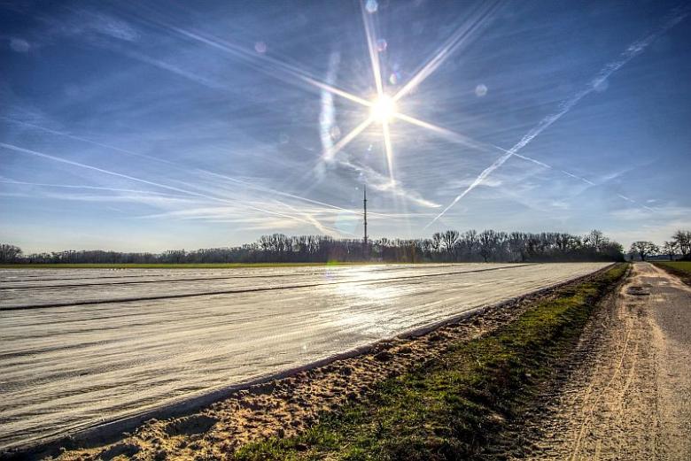 2350_Meraxis_Schmuckbild